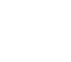 560 Love Pets